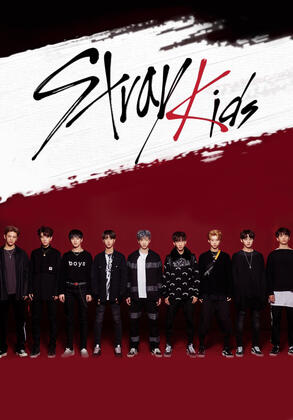 stray kids survival show