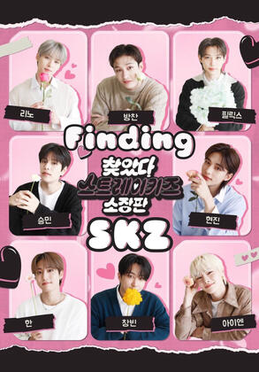 finding skz